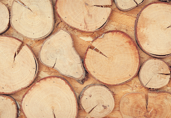 Mastercam-Router_Cad-Cam-Software_Holzbearbeitung