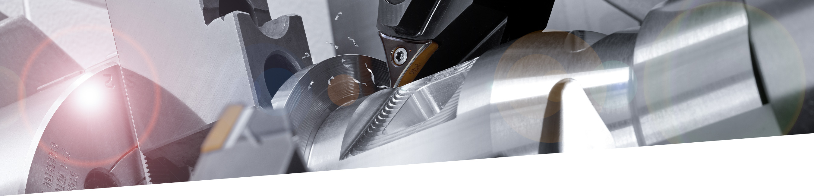 Header-Test-Hoerauf-1